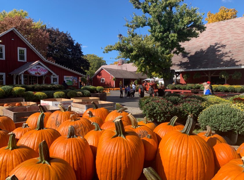 Sonny Acres Farm, United States